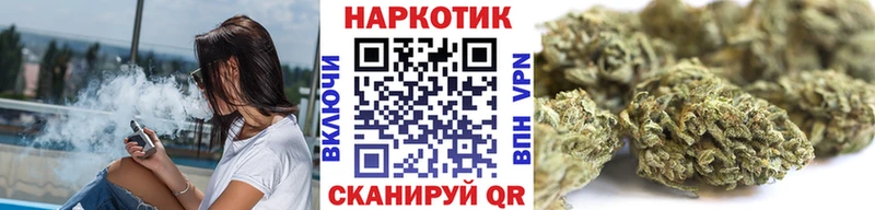 МЕФ Обь