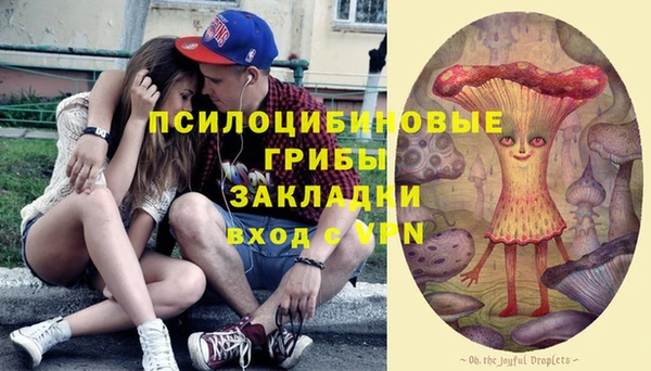 марки lsd Богородицк
