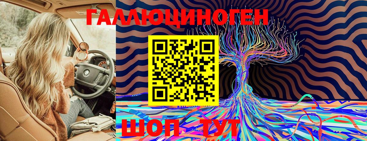 Обь  Псилоцибиновые грибы мицелий  Вход с VPN  Псилоцибиновые грибы Psilocybine cubensis 