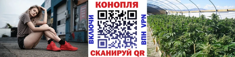 Бошки Шишки SATIVA & INDICA  гидра ТОР  Обь  наркошоп 